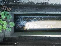 側溝清掃前