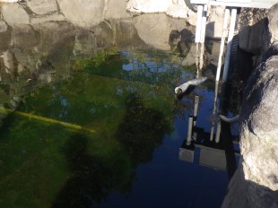 作業前