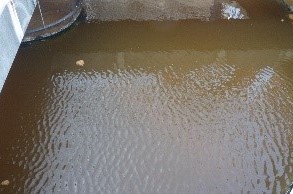 作業前
