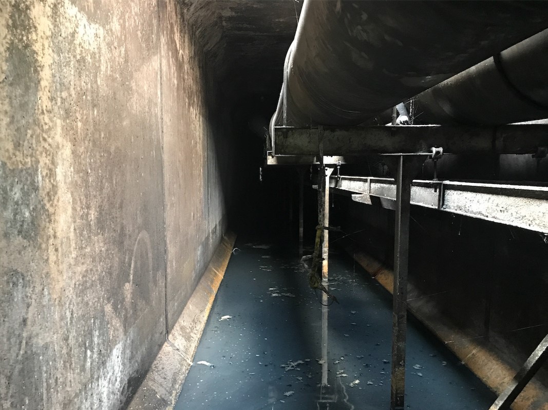 作業前①